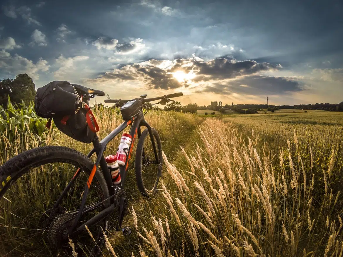 Quel vtt peut-on espérer pour 800 € ?